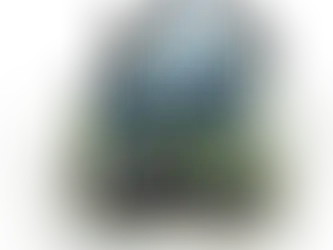 Stronghold Group Supports Afghan Refugee Evacuation and Care Program with Stronghold Rescue & Relief