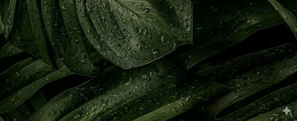 Gemini_Generated_Image_e6275ie6275ie627.png