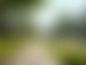 TOP FACTORS TO CONSIDER WHEN CHOOSING THE PERFECT NEIGHBORHOOD FOR YOUR FAMILY