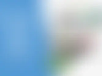 Q4 PREP STARTS NOW: YOUR AMAZON & WALMART SUCCESS BLUEPRINT