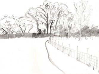 Engaging Visual Stories: The Art of Sustainable Illustration