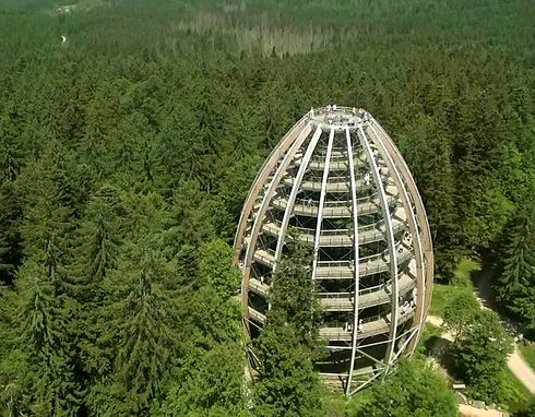 Baumwipfelpfad.jfif