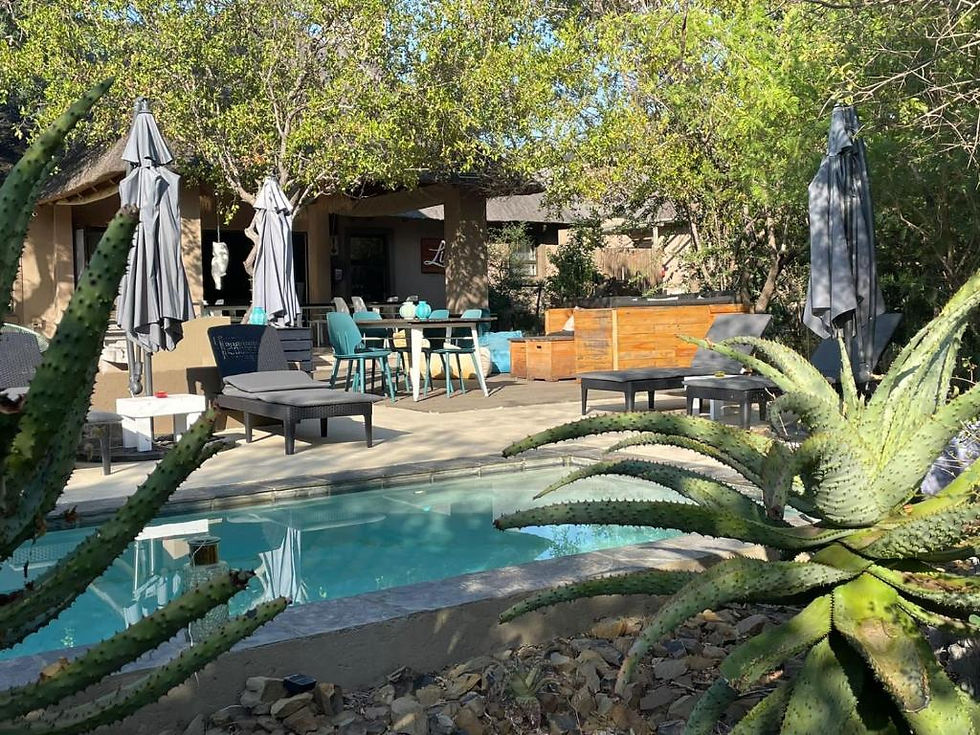 Thumbnail: Lindiwe Safari Lodge