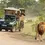 Thumbnail: Umbhaba Eco Lodge