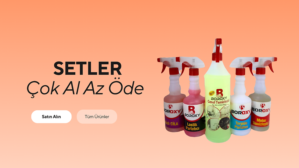 Batı Elektronik.png