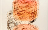 Detail6.jpg