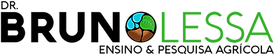 logo_bruno.png