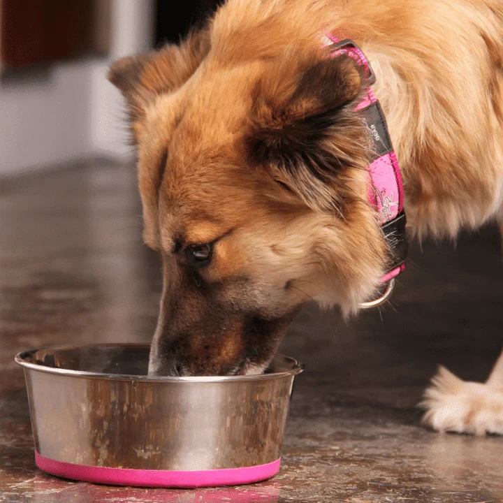 Stainless Steel Bowl