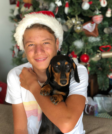 Dachshunds