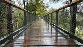 Baumwipfelpfad Saarschleife