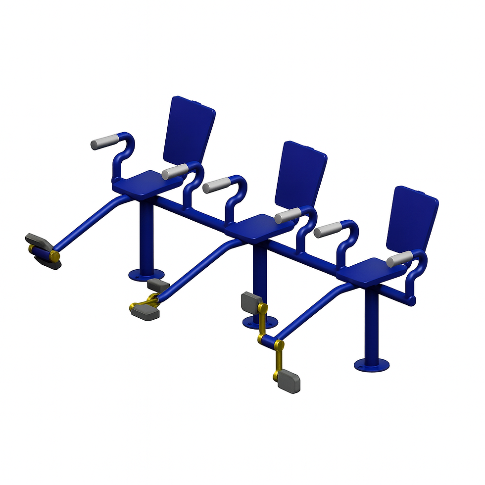 Bicicleta tripla para academia pública