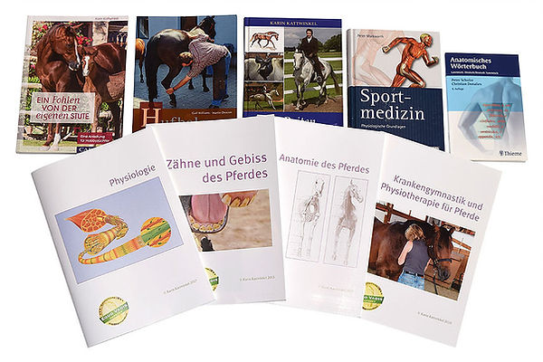 Lehrbroschüren von Equo Vadis