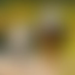 Sibylle ist live 100x besser als im Video!