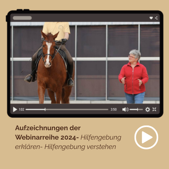 Hilfengebung erklären- Hilfengebung verstehen - Teil 1