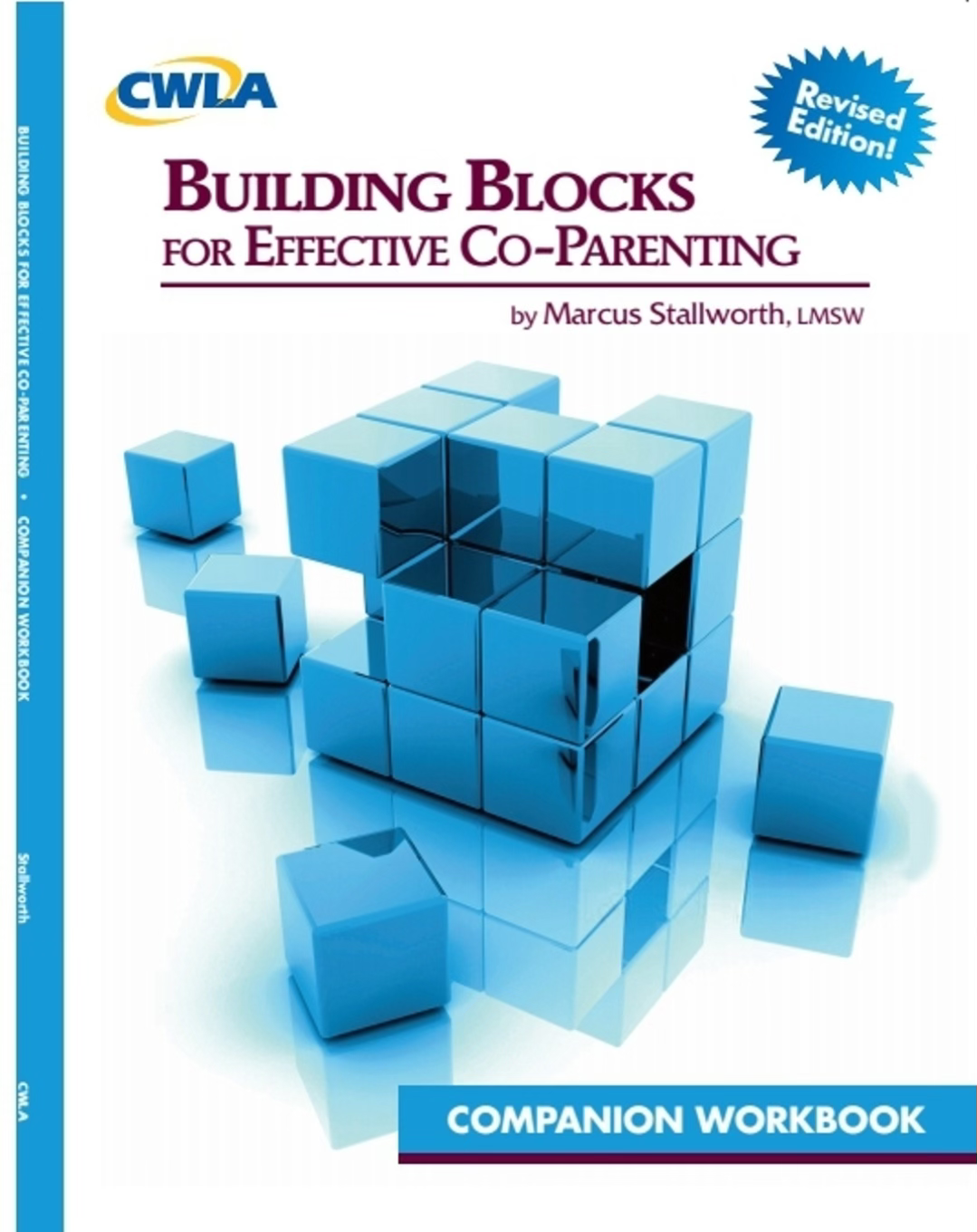 Building Blocks for Effective Co-Parenting: Companion Workbook