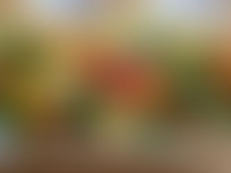 Alkalin Diyeti: Asit-Baz Dengesiyle Sağlıklı Beslenme