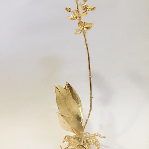 orquidea grande mesa 2021.jpeg