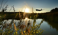 dsc-2022herbstbild.jpg