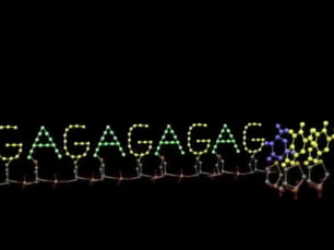 COVID 2.0 : Transhumanisme