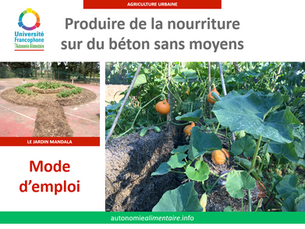 Comment cultiver sans terre et sans argent