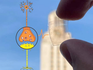 Des synapses artificielles en graphène