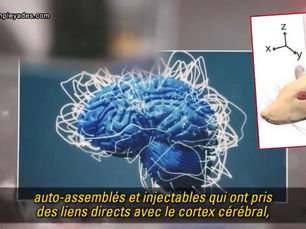 Des médecins italiens témoignent de la présence d’oxyde de graphène dans le sang des vaccinés