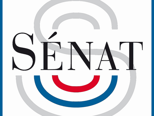 Quand le Sénat prépare la mise en esclavage du peuple français - voici le monde dystopique de demain