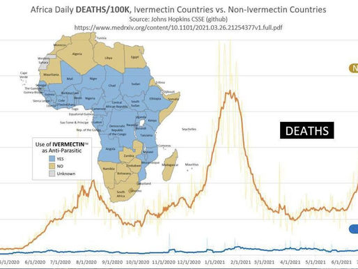 Soigner ou pas avec l'ivermectine : la situation en Afrique