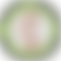 Modèle de lettre de mise en demeure (CNT)