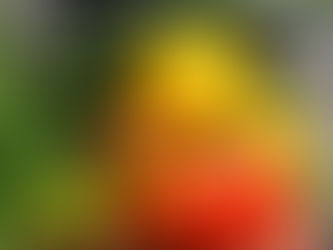 Si j’étais maire, que ferais-je pour assurer la sécurité alimentaire et énergétique de ma commune?