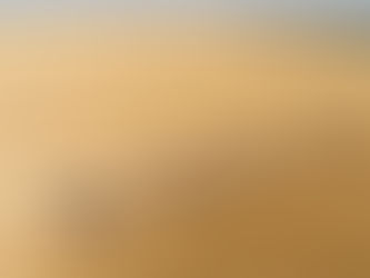 Trois entreprises américaines contrôlent plus d’un tiers des terres agricoles ukrainiennes