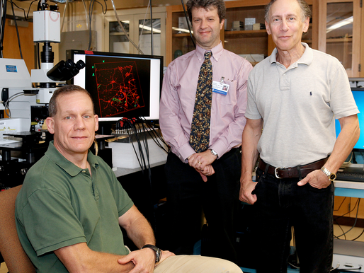 Lié à Tsahal, le chimiste de Wuhan reconnaît avoir menti