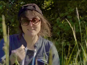 A la découverte des vins naturels