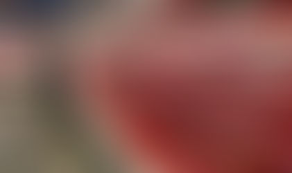 Les problèmes de la chaîne d’approvisionnement vont persister, parce que le système est saboté