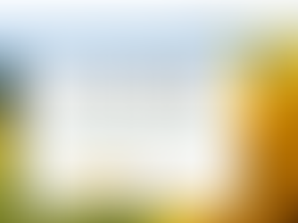 Collectif "les agron'hommes" : vivre l'agroécologie par l'expérience