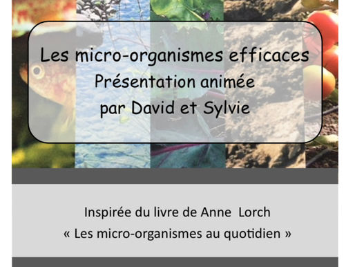 Conférence sur les Micro-organismes Efficaces (EM) à Béganne le 17 Mars 18h30