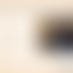 L’avenir de la France et de l’Euro