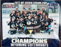 2022 Mt. Ogden 12U-B Spring Cup Champions