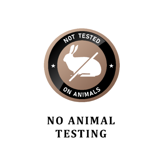 Icon Group13_edited.png