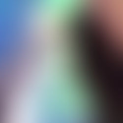 Capítulo 4 - É uma Fera