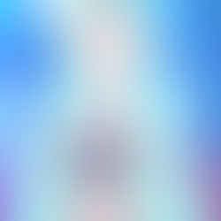 Capítulo 1 - Flores & Feras