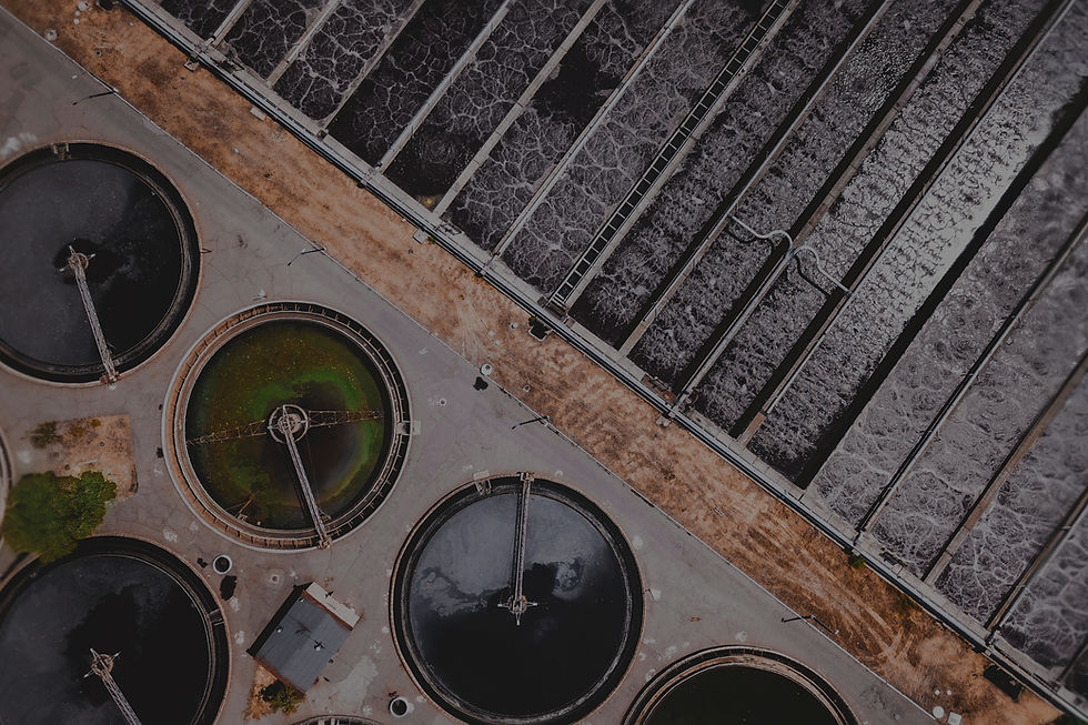 ivan-bandura-Ac97OqAWDvg-unsplash_edited_edited_edited.jpg