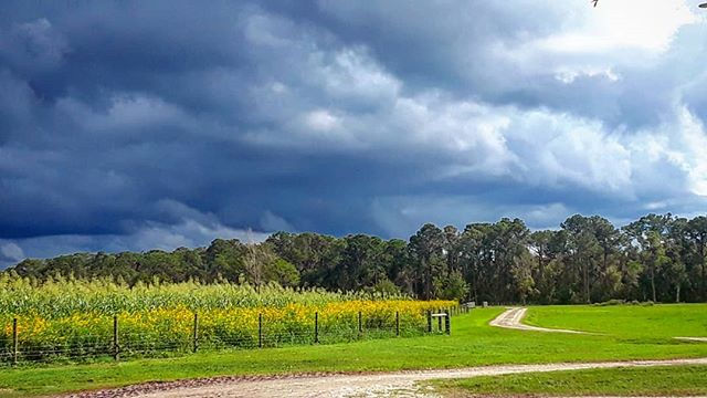 A Floridian Farmer's To-Do List