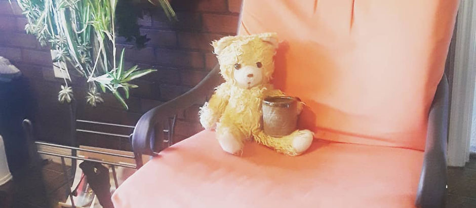 Lessons from a Teddy Bear