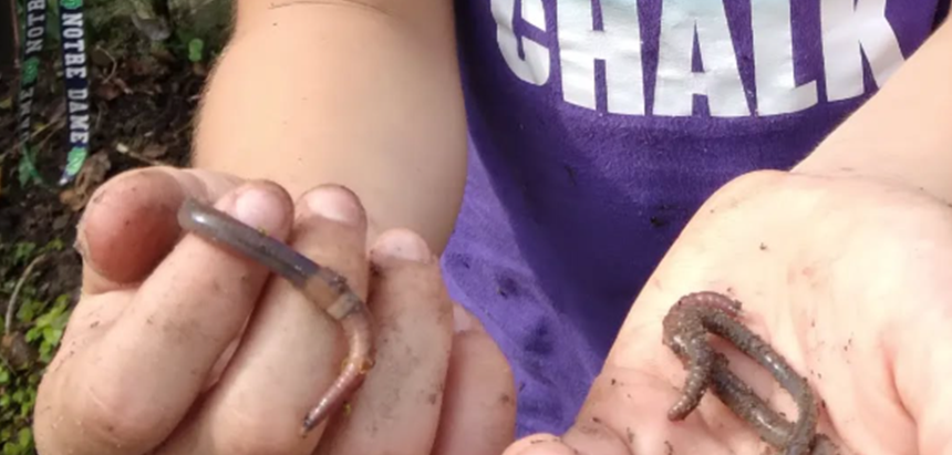 Find Your Earthworms