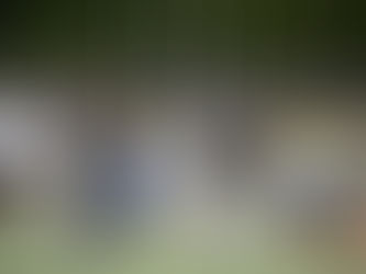 1年生試合 三つ巴