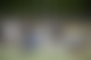 1年生試合 三つ巴