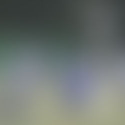 4年生引退ブログリレー—BLUEPRIDE— #32 中陣健太郎