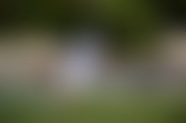 kick offブログリレー　DFリーダー　佐波竜太郎