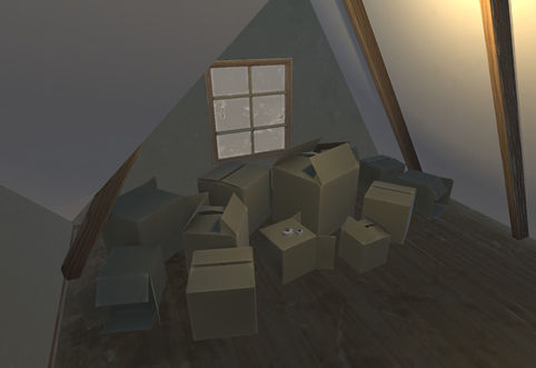 Attic Storage View #4